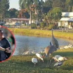 John Peacock 3 Time Champion Coach Fire Case In Nokomis 2026